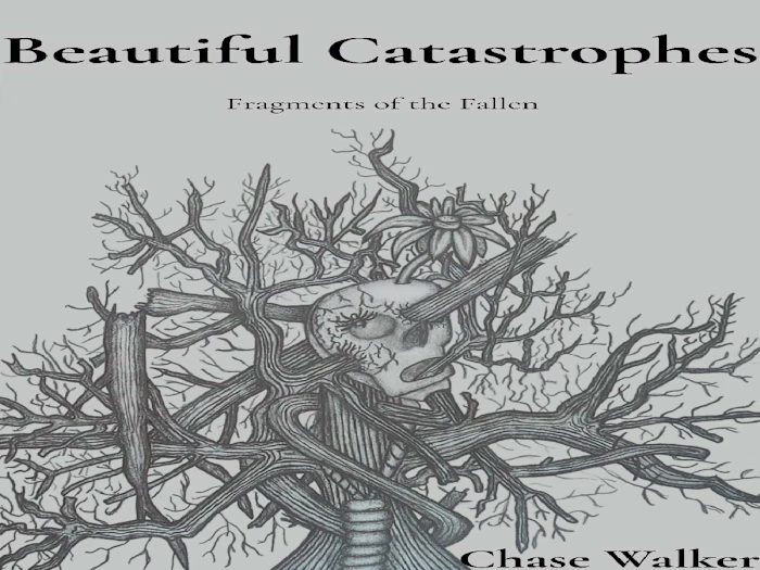 This is the front cover