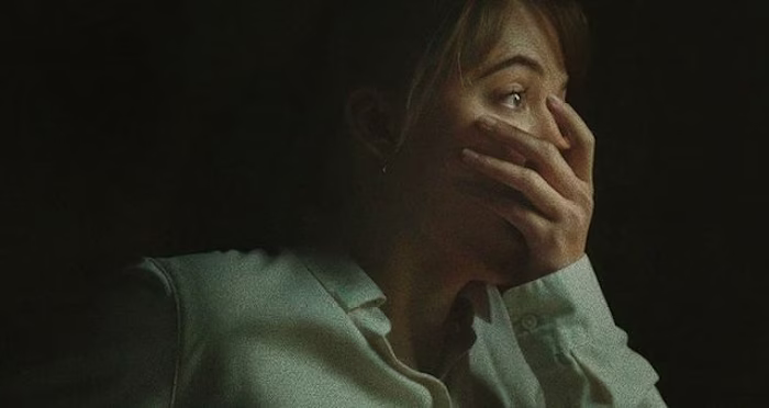 Horror Movies of 2024 : A Retrospective