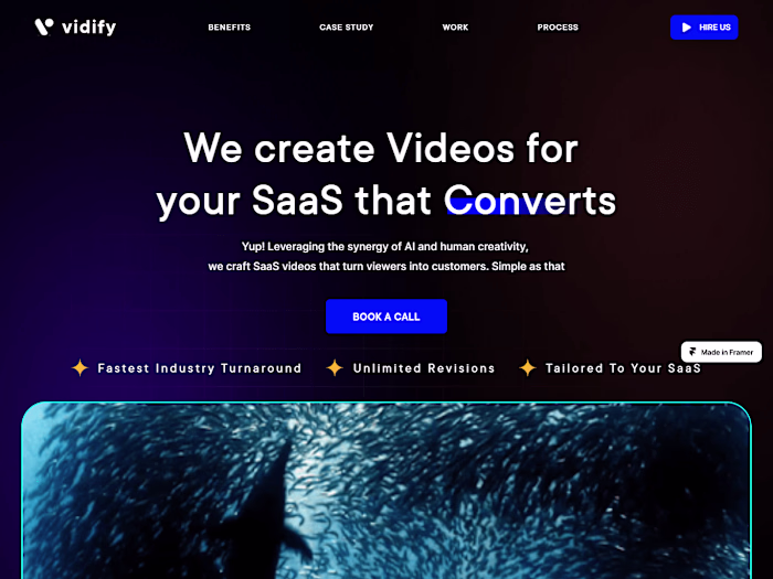 Vidify Agency website