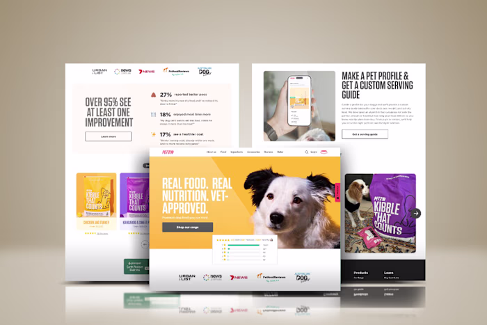 Website design to increase income
