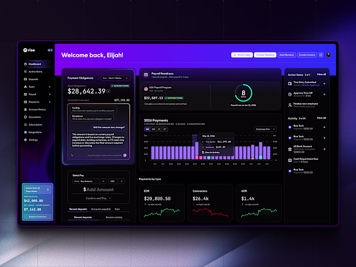 Rise Payroll Dashboard Design