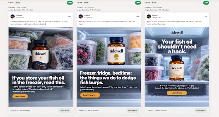 Meta Static Ads for a Premium Fish Oil Brand (Concept Project)
