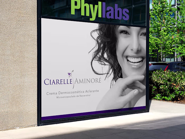 Building Phyllabs’ Brand Identity: From Vision to Visual Impact