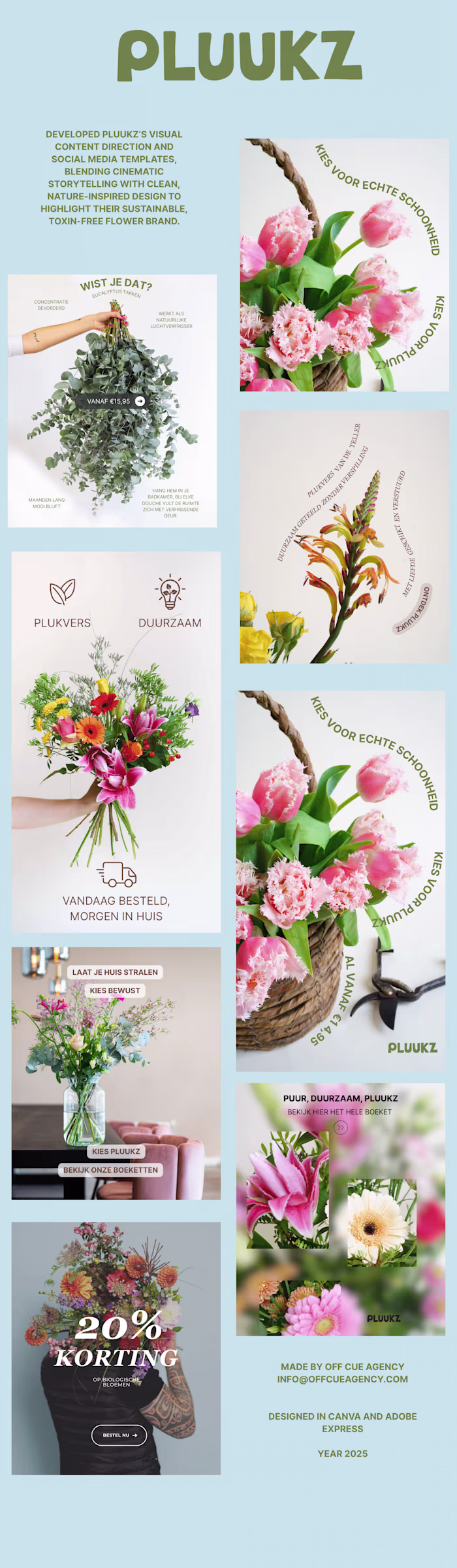 Pluukz - Social Media Design