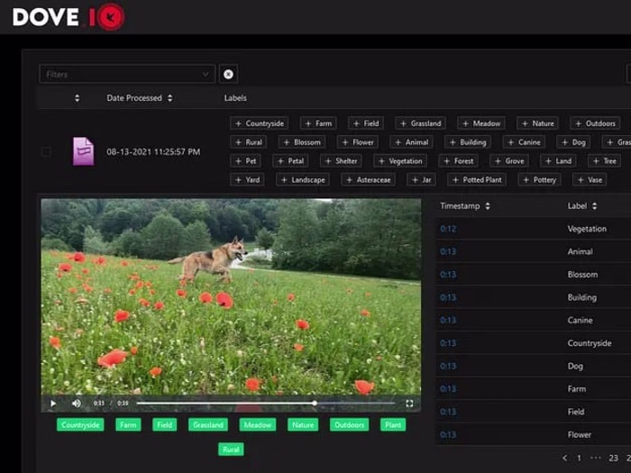 DIY Dog-Seeking IoT Edge Computing Platform