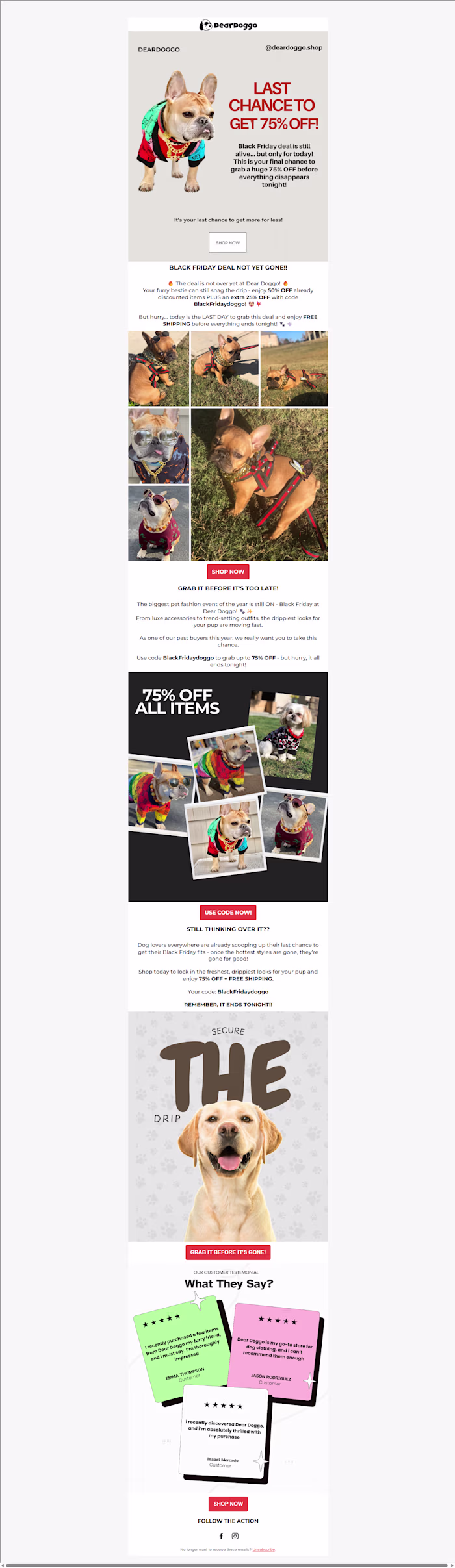 Email Campaign For Ecommerce Brand