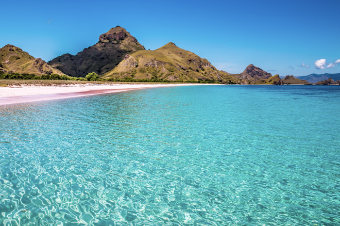 Wrote a destination-focused article positioning