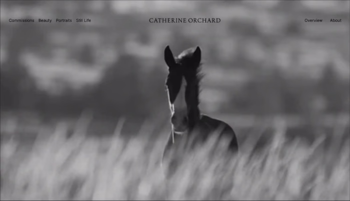 Video-Led Homepage Hero for a Filmmaker