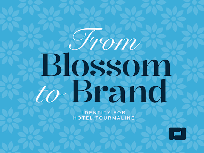 Tourmaline Brand Identity