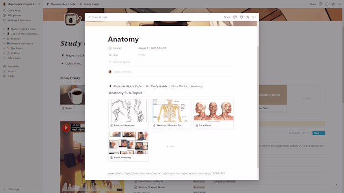 Notion Digital Art Study Guide!