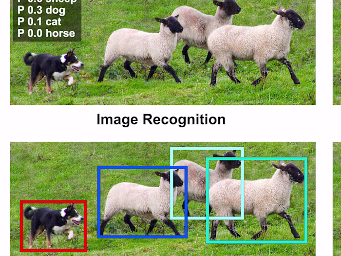Object Detection