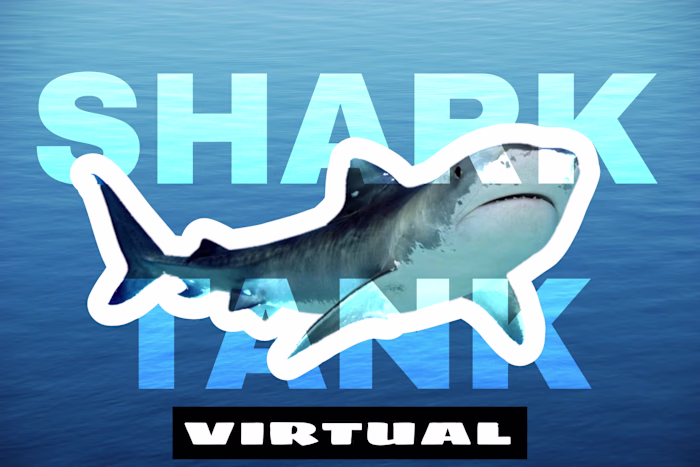 Virtual Shark Tank 