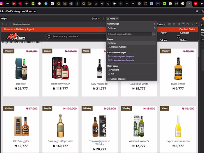 My Role
Webflow Designer & Branding