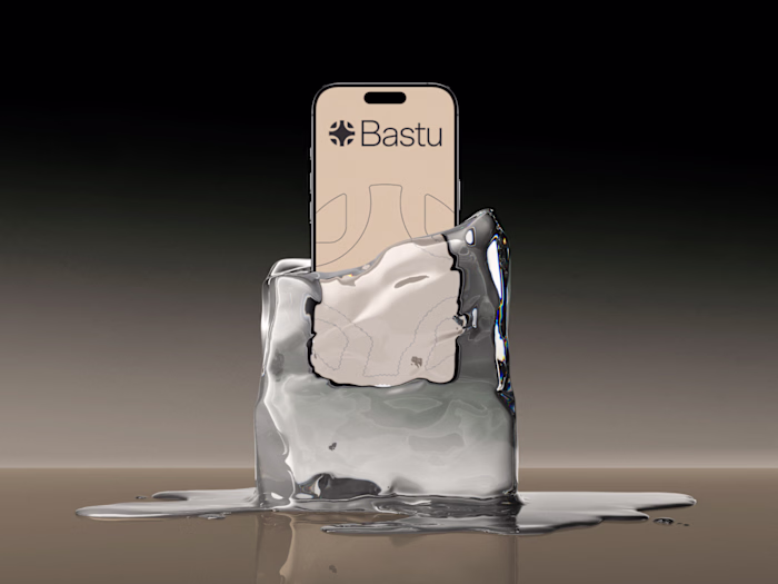 Bastu Brand Identity Design