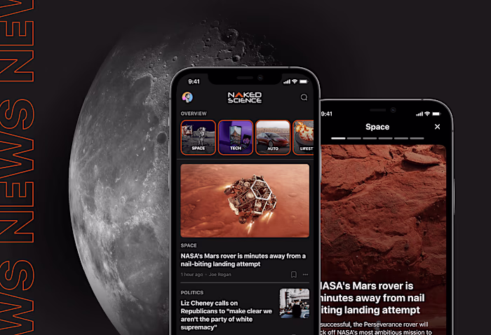 NS App :: Behance
