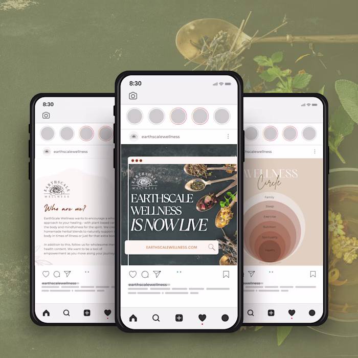 EarthScale Wellness | Brand Revitalization 