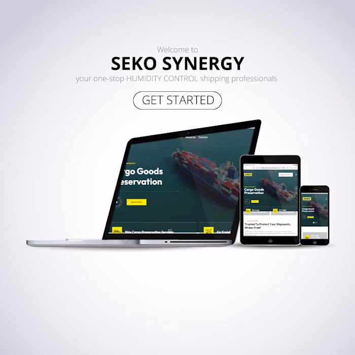 Website Design and Development for Seko Synergy