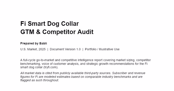 Go-to-Market and Competitive Intelligence Report for Fi