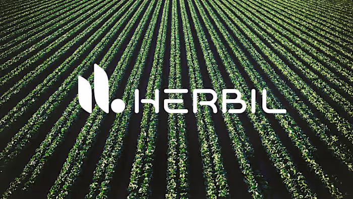 Herbil - Identidade Visual