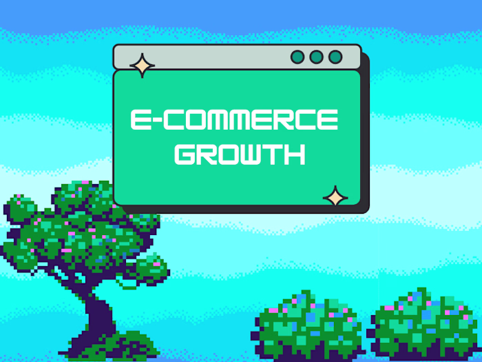 E-commerce Growth Catalyst