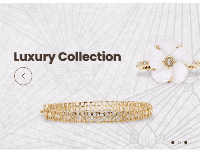E-commerce Developer Top Notch Store Designer