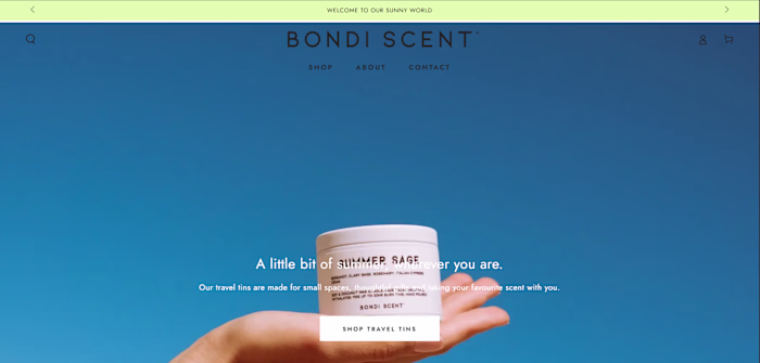 Designed an Optimized Shopify Website