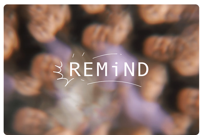 Signage, Label, + Social for REMiND