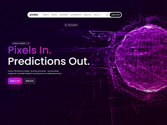 Built a clean, responsive Webflow