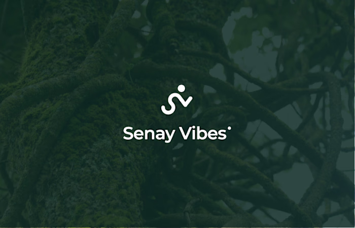 Senay Vibes - Brand Identity on Behance