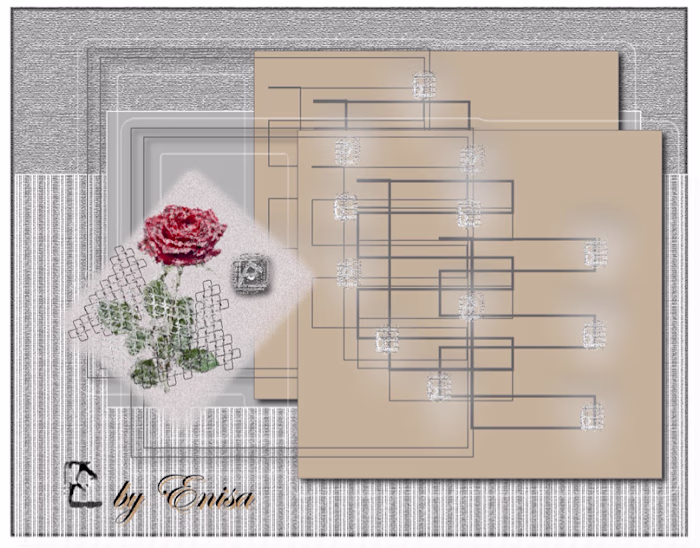 Floral Geometry