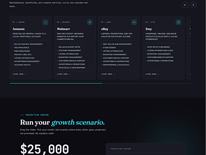 WordPress Business Website -- Ecom Scaleup Agency