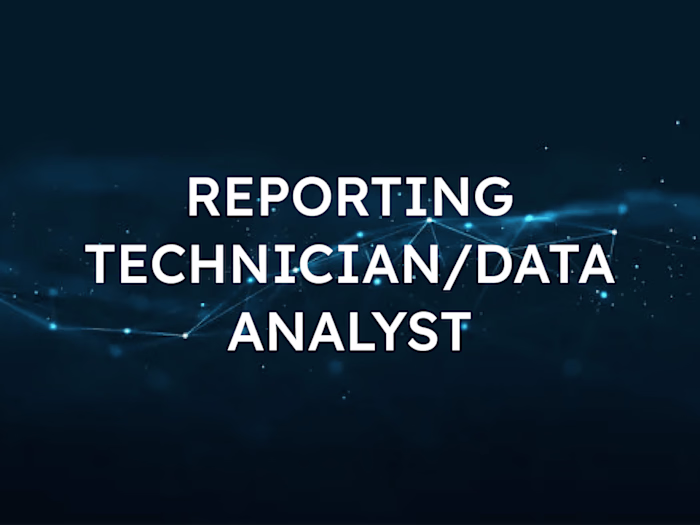 Data Analyst