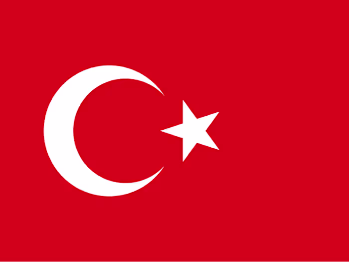 Freelance English to Turkish Translation