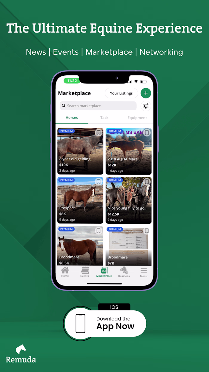 Social Media Management for Equine Industry App 
