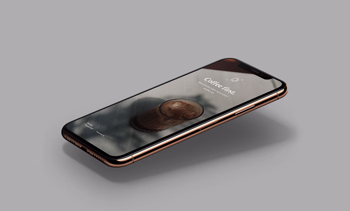 Social Media Stories on Behance