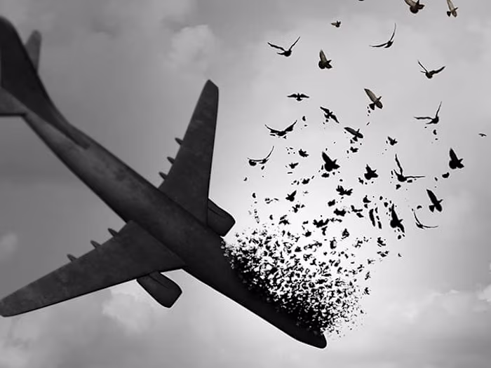 Aeroplane-Bird-Strike Data Analysis
