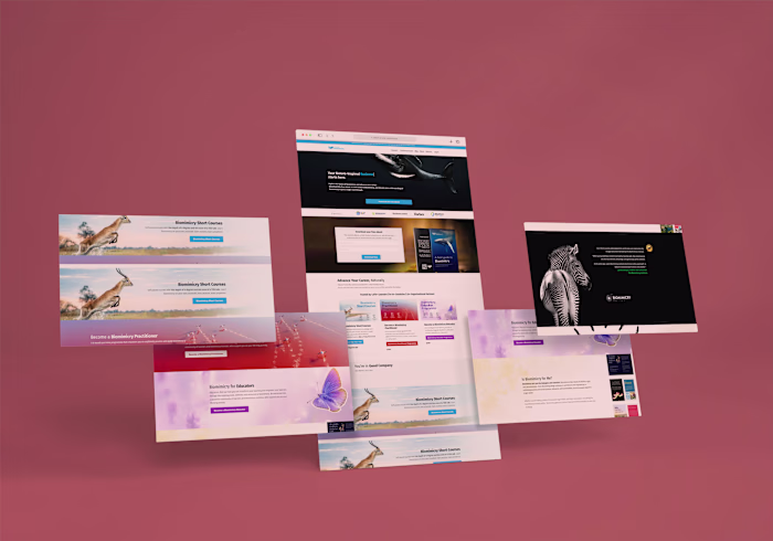 Kajabi Website & Course Discovery for Learn Biomimicry