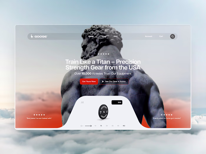 Website Design - Goose 