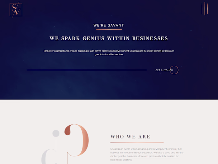 Savant Consulting