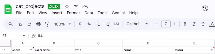 Excel spreadsheet dataset
