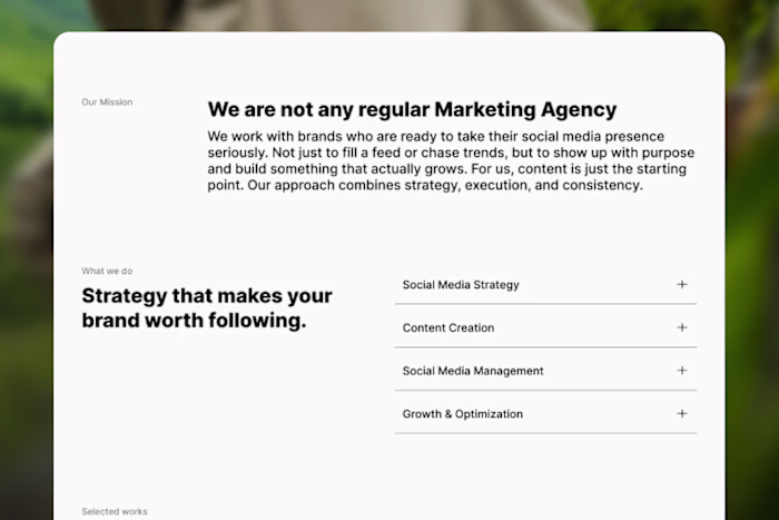 Agency About and Services Section