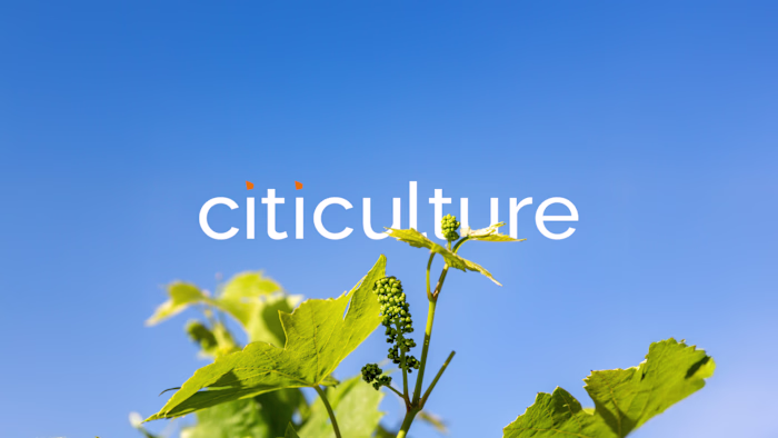 Building Citiculture's social presence from zero & crowdfunding