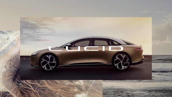 Lucid Brand Marketing