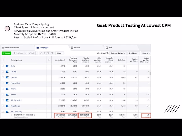 Paid ads plan that scaled revenue 
