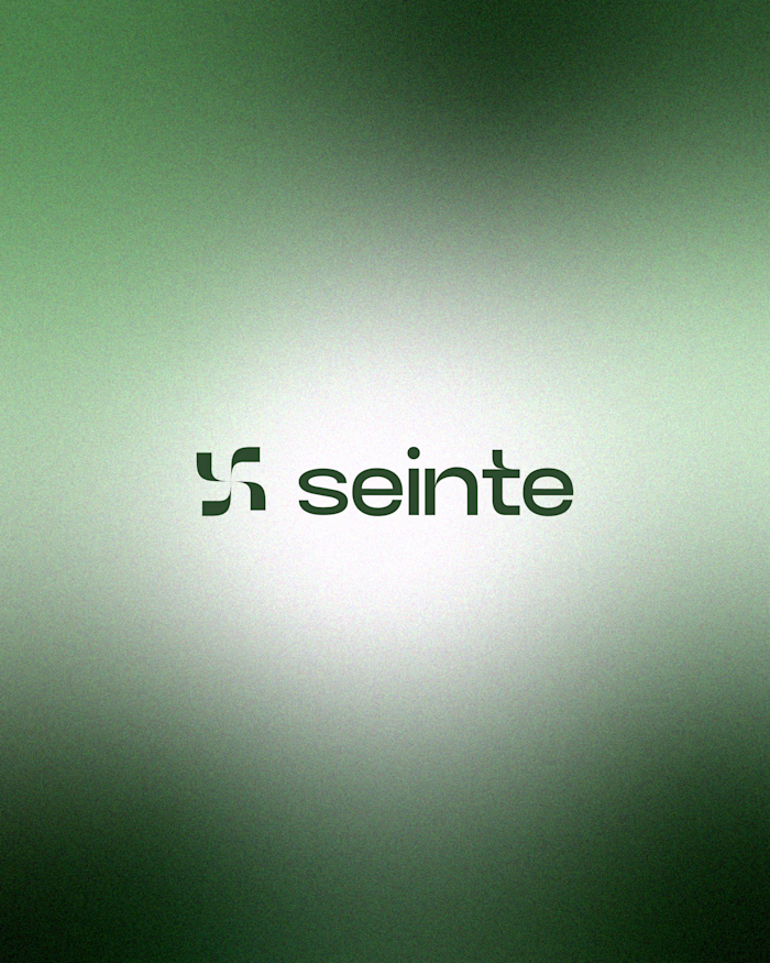 Minimal Brand Identity and Logo Design for Seinte