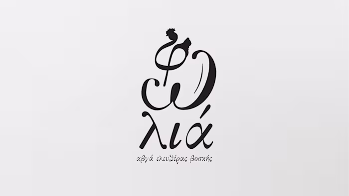 Nomenclature & Logo Design