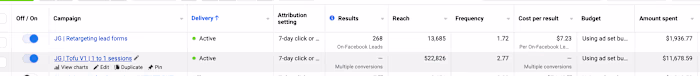 Created a profitable lead gen system for Coaching Company