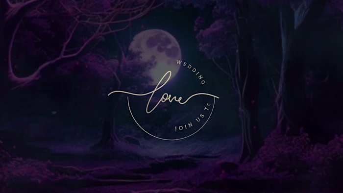 01 Signature Logo Animation | Tanchi Motion | Portfolio 2023