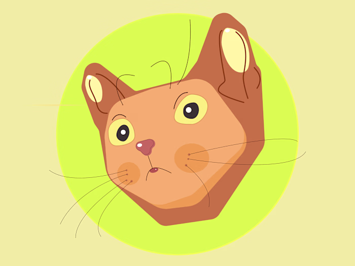 The Suspecting Cat