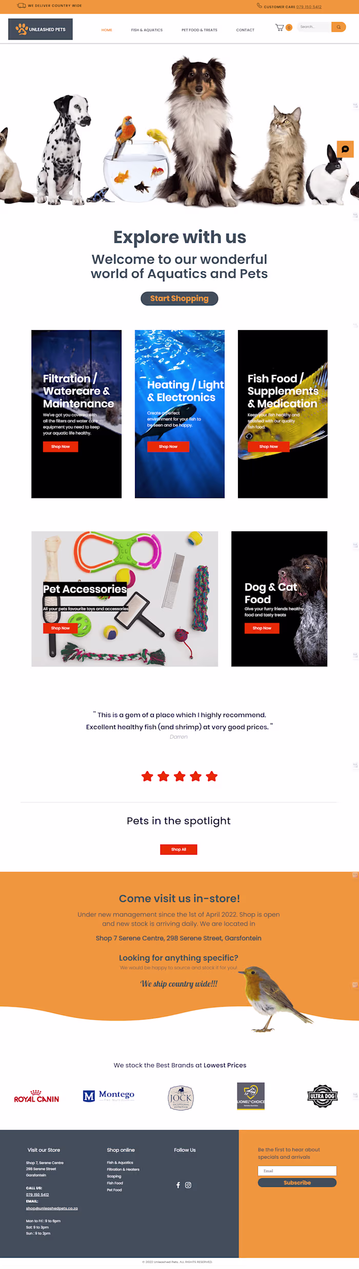 Wix Website Design Projects
